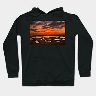 Marshlands of Evros Hoodie